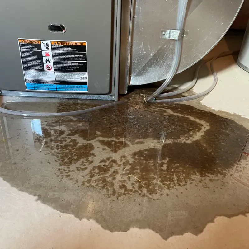 Appliance Leak Cleanup in Woodruff County, AR